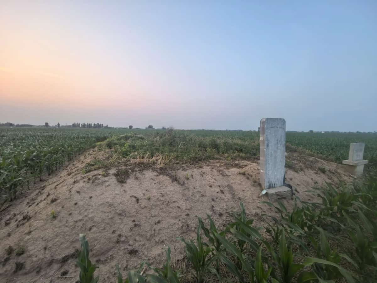 刘伶墓及石刻群