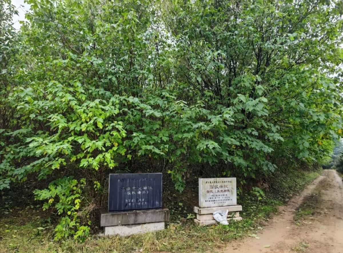 安陵-孝惠张皇后陵