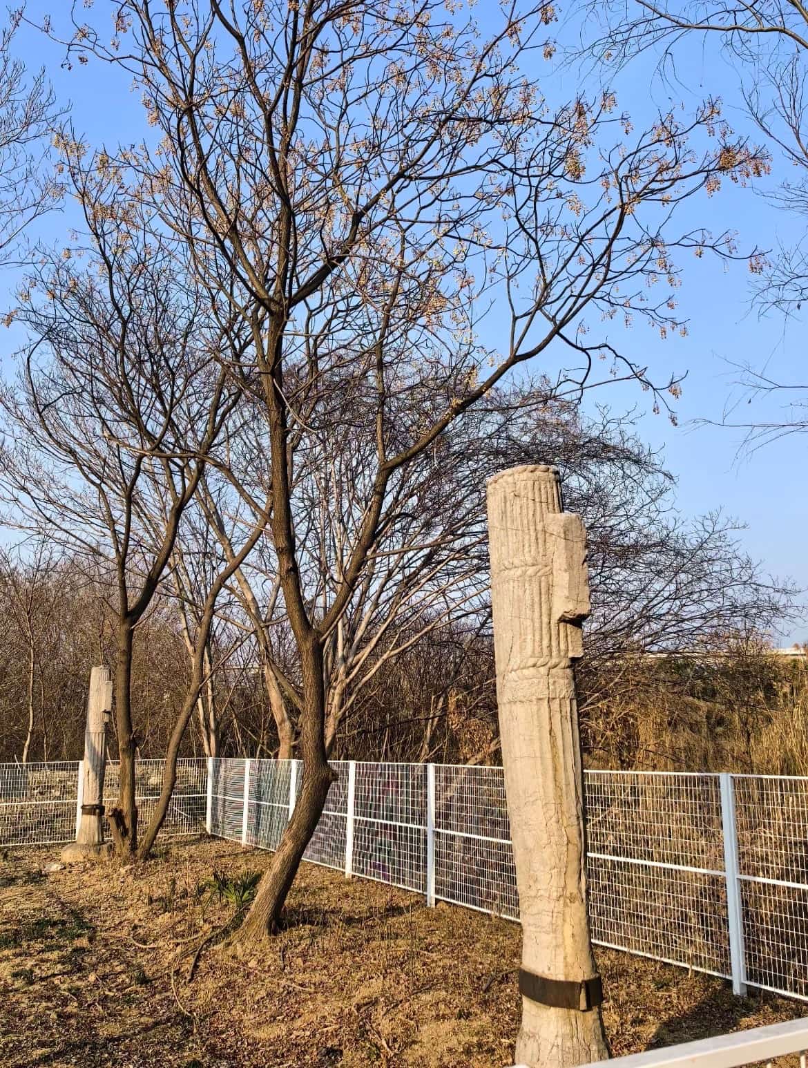 梁建安敏侯萧正立墓石刻