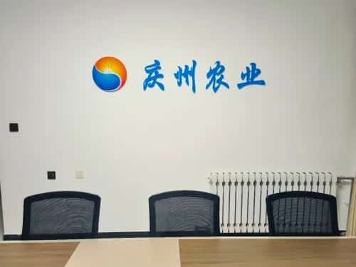 庆州城（白塔）