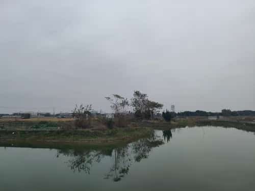 金忠家族墓葬群