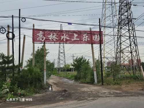 高林王氏家族墓地