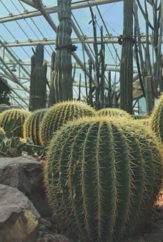 中山门东吴墓地