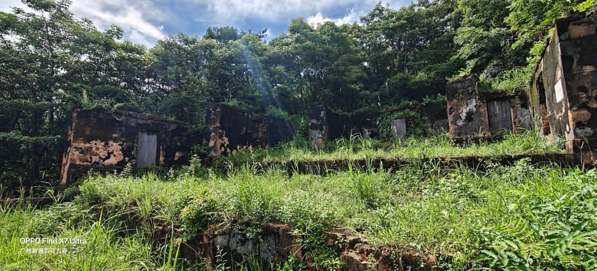 “百花冢”摩崖石刻