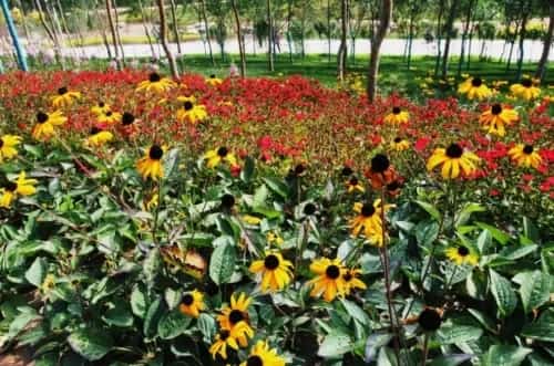 大园山东侧墓葬