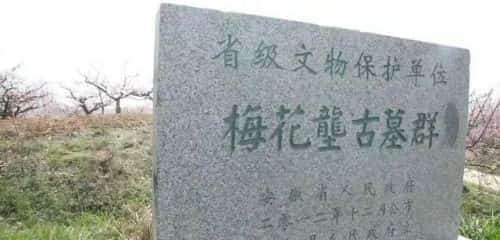 梅花垅古墓群