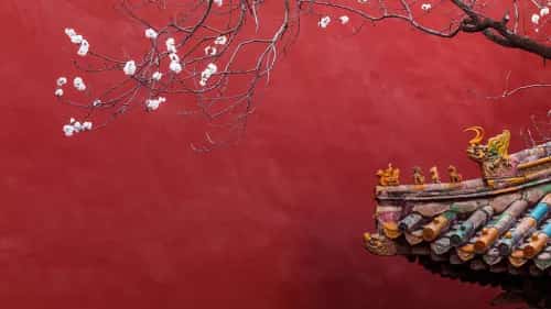 M19号 赤聂松赞陵