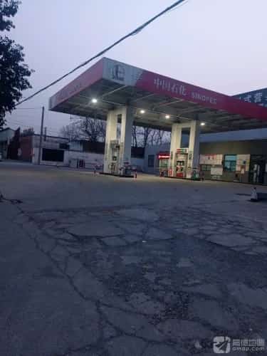 李家村东大冢M1048