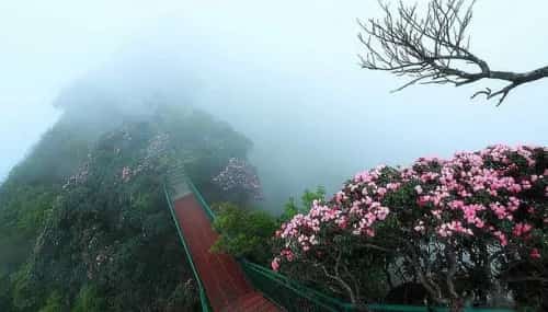 章怀太子李贤墓