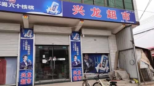 司马兴龙墓-石羊