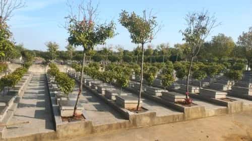 太湖赵朴初墓园（含旧居）