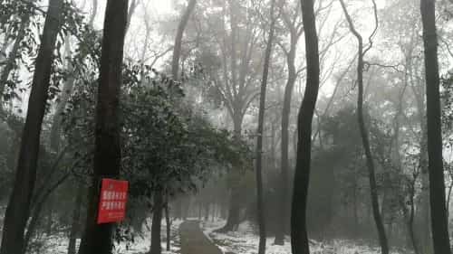 将台山越国贵族墓