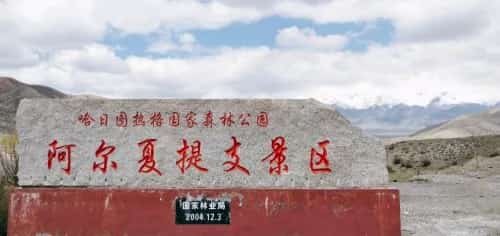 阿日夏特石人墓