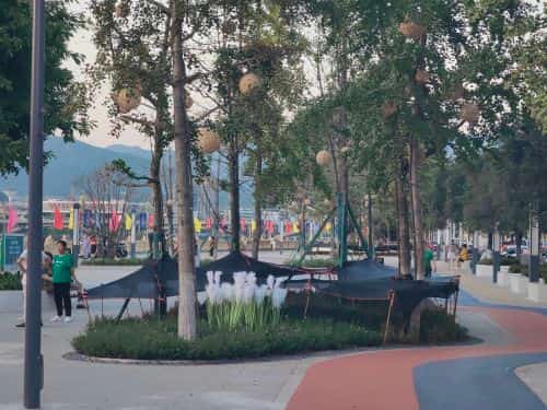 广元府记碑与嘉陵流香碑