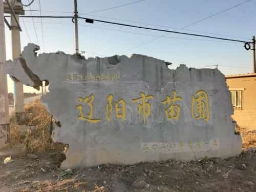 辽阳苗圃汉墓群