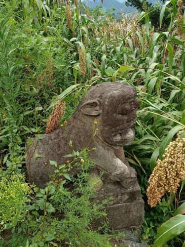 夜郎坝宋墓群（杨八坟）