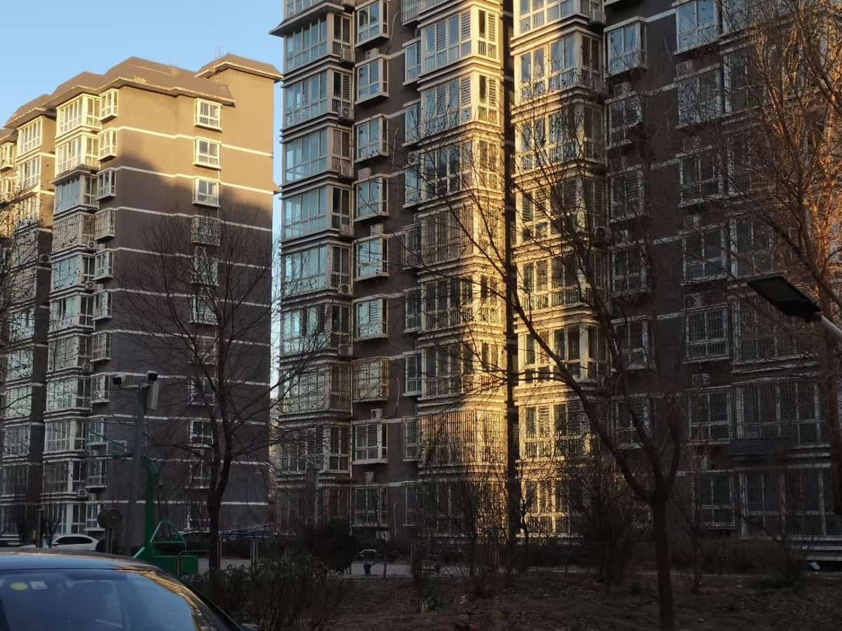 花园庄M54亚长墓