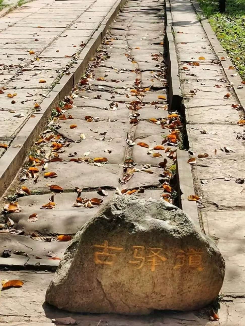 阳陵—德阳庙遗址