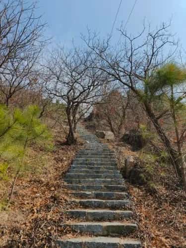 金蟾洞封土石室