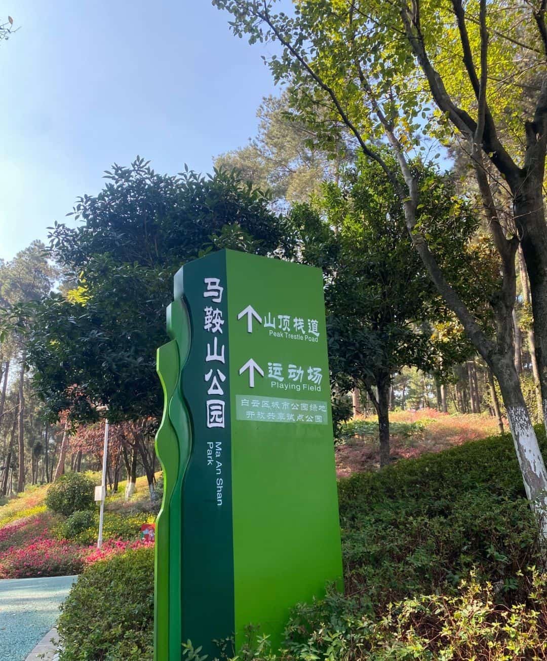 赤水马鞍山岩墓群