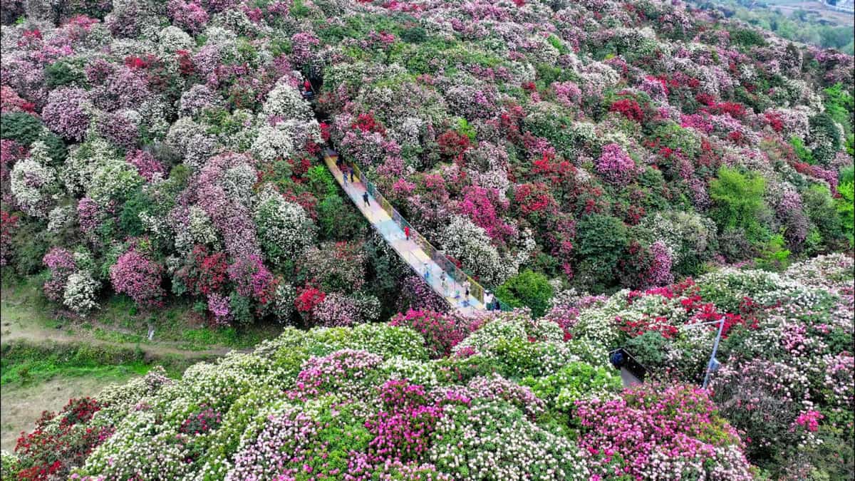 大方普底黄家祠堂