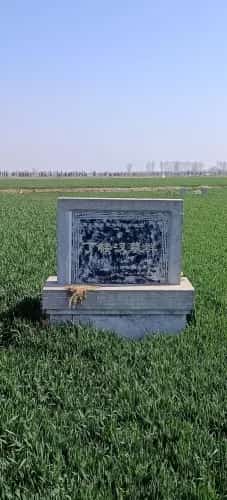 陈胜墓（包括芒山墓群）