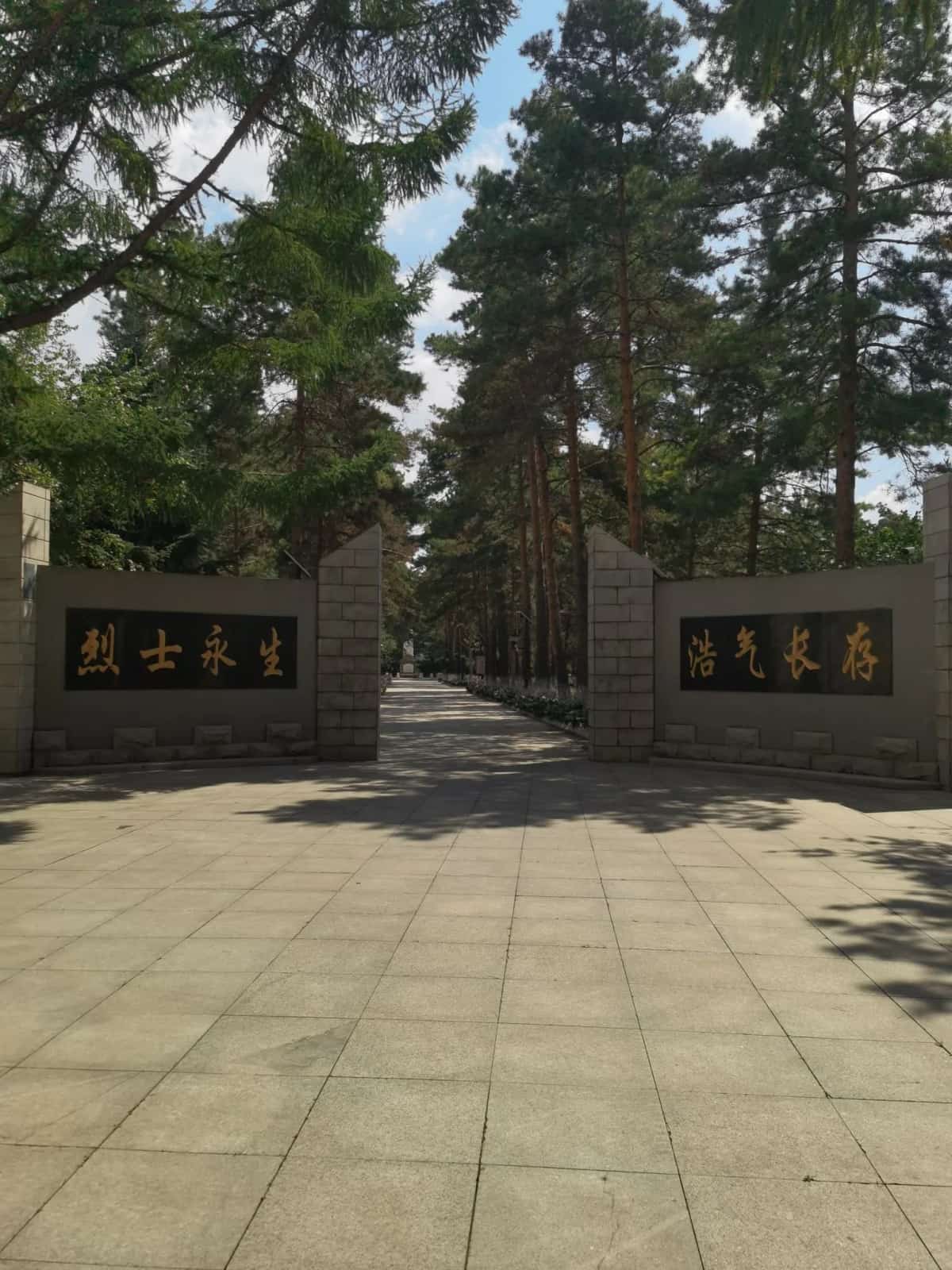 哈尔滨烈士陵园（第四批-62）