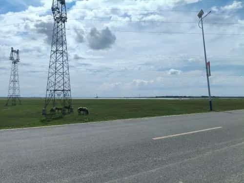 哈拉海遗址（第五批-4）