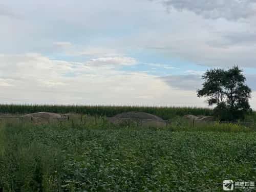 东北民主联军航空学校东安机场遗址（第七批-38）