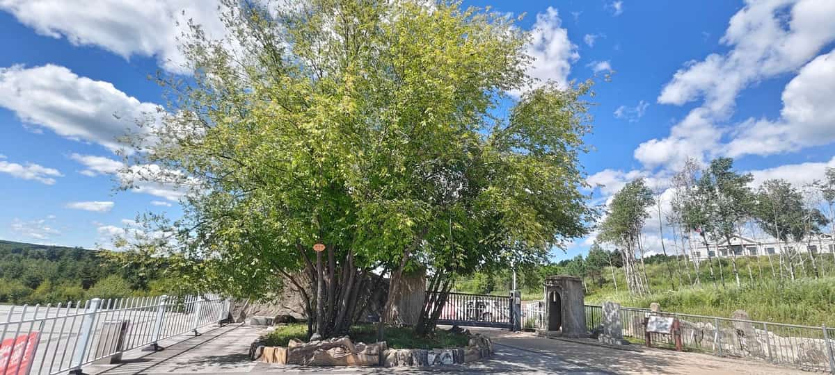 日本关东军第五国境守备队胜山要塞罪证遗址（第四批-52）