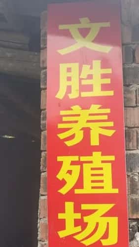 青文胜墓