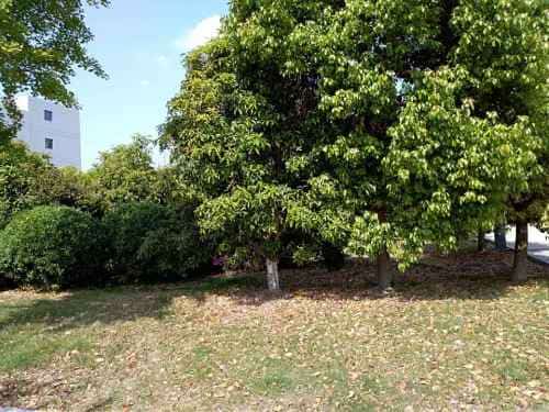 富安明代建筑群