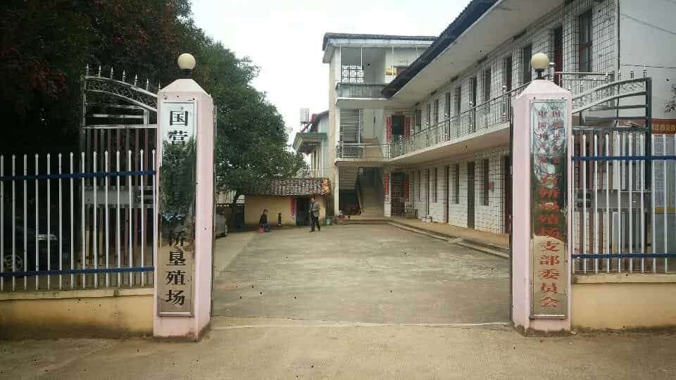 梦港石桥（6-3-055，含桥亭）