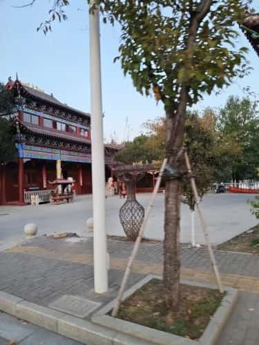 金溪古庙群（6-3-044，含下宋玉泉行宫、东源豢灵护应庙、周家隆兴古庙）