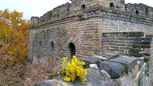 金家坟山烽火台