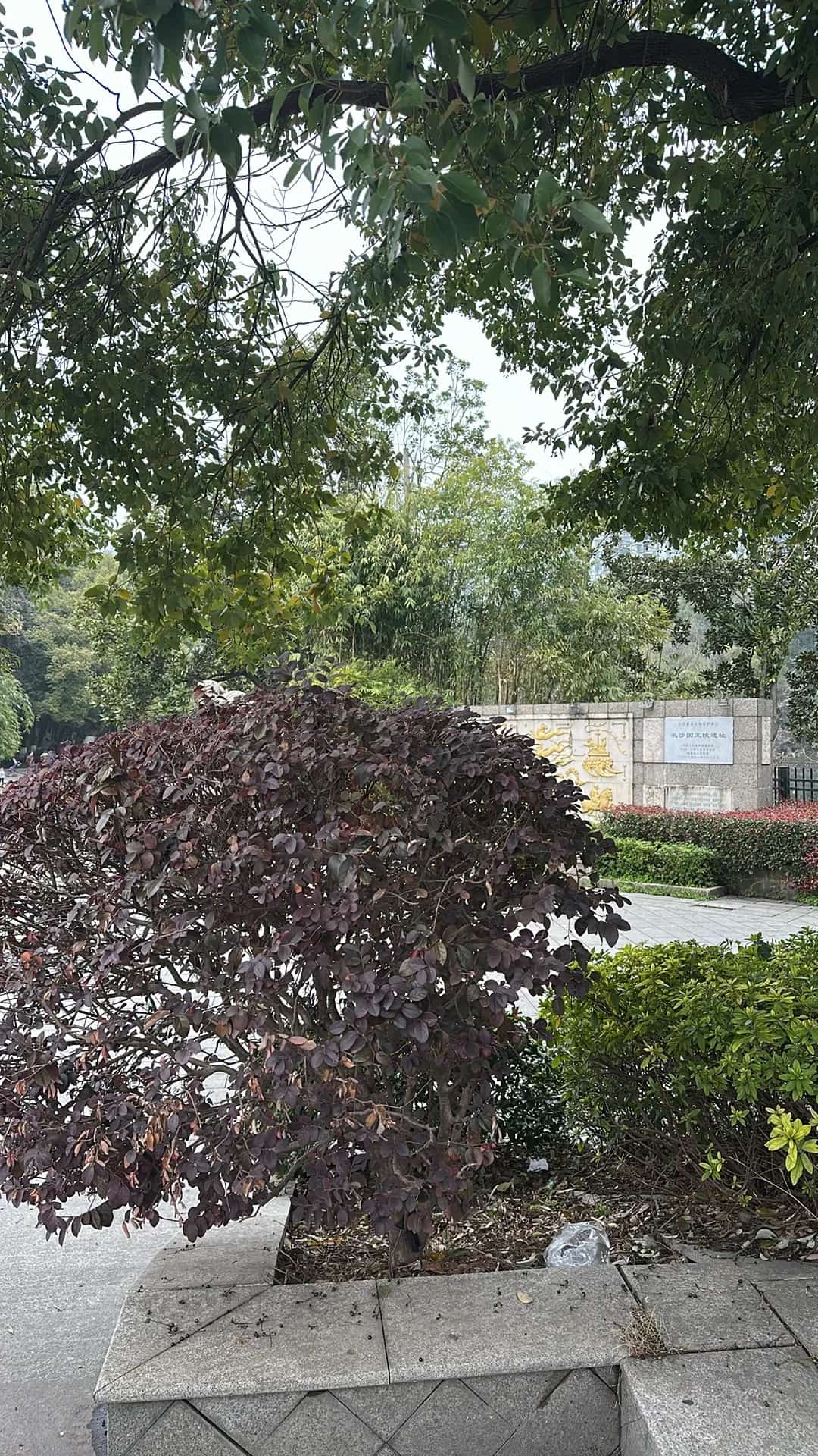 汉代长沙王陵墓群