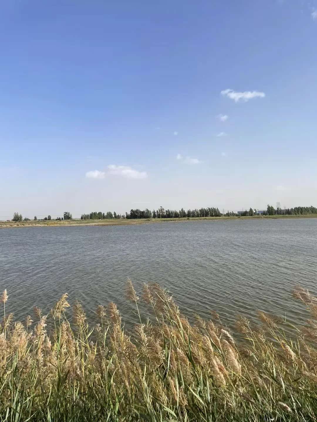 蔡家地城址及周边墓葬群