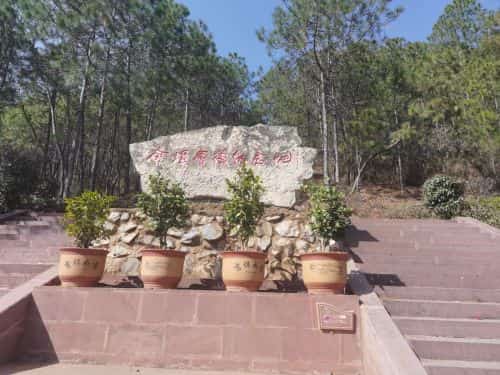 百草坡飞虎队坠机纪念地