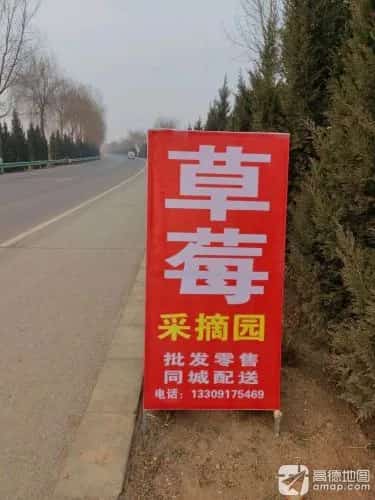 案板遗址（4-）