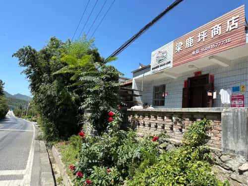 梁鹿坪遗址（3-）