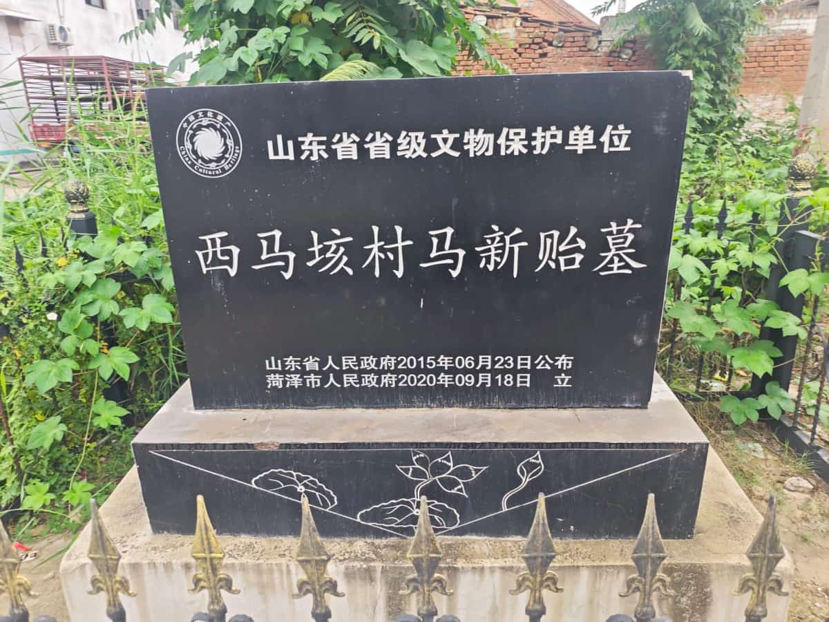 西马垓马新懿墓